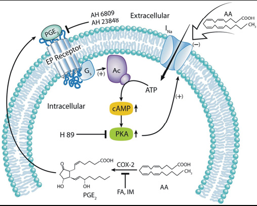 42c22bd1-cf2d-41bc-b94f-f88de63bbac0.bmp 42c22bd1-cf2d-41bc-b94f-f88de63bbac0.bmp