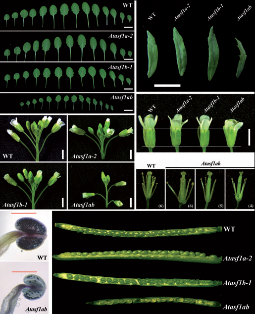 40c73d60-bb14-47c3-ab11-196a0bac7a21.bmp 40c73d60-bb14-47c3-ab11-196a0bac7a21.bmp